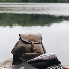 One light together stars morning.