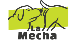 cropped-logo-fondo-blanco